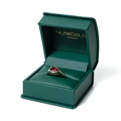 Anillo de prueba- cambio